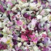 High quality dried Marshmallow flowers for sale. Buy Althaea officinalis dried flowers. Hollyhocks for sale. Buy Common Hollyhock dried flowers. Marshmallow seeds for sale. Buy Hollyhocks seeds.