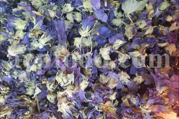 High quality dried Marshmallow flowers for sale. Buy Althaea officinalis dried flowers. Hollyhocks for sale. Buy Common Hollyhock dried flowers. Marshmallow seeds for sale. Buy Hollyhocks seeds.