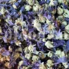 High quality dried Marshmallow flowers for sale. Buy Althaea officinalis dried flowers. Hollyhocks for sale. Buy Common Hollyhock dried flowers. Marshmallow seeds for sale. Buy Hollyhocks seeds.