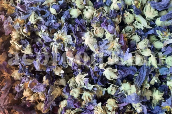 High quality dried Marshmallow flowers for sale. Buy Althaea officinalis dried flowers. Hollyhocks for sale. Buy Common Hollyhock dried flowers. Marshmallow seeds for sale. Buy Hollyhocks seeds.