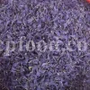 Bulk Echium amoenum for Sale. Buy Persian Borage. Buy Iranian Bugloss with the Best Price. Gol Gav Zaban wholesale price. Bulk Echium amoenum Red Feathers. Borage leaves for sale.