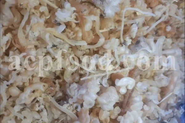 Buy Gum Tragacanth. Tragacanth Gum price. Buy Gond Katira. Katira price. Katila Gum wholesale price. Astragalus gummifer gum for sale. Astragalus gum purchase.