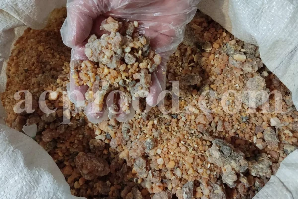 Bulk Galbanum resin for sale. Galbanum gum wholesale price. Galbanum price. Ferula galbaniflua gum in bulk. Ferula gummosa gum for sale.