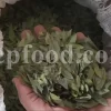 Dried Myrtle leaves for sale. Myrtle leaves purchase. Leaf Myrtle buy. Bulk Mirto leaves. Myrtle leaf tea wholesale price.