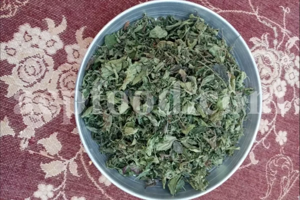 Dried Lemon Balm for sale. Melissa Lemon Balm buy. Lemon Balm bulk. Lemon Balm for sale. Organic Lemon Balm leaf in bulk.
