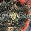 Dried Lemon Balm for sale. Melissa Lemon Balm buy. Lemon Balm bulk. Lemon Balm for sale. Organic Lemon Balm leaf in bulk.