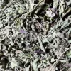 Dried Lemon Balm for sale. Melissa Lemon Balm buy. Lemon Balm bulk. Lemon Balm for sale. Organic Lemon Balm leaf in bulk.
