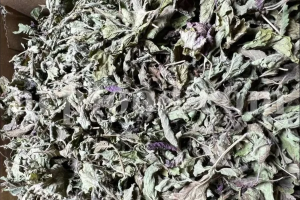 Dried Lemon Balm for sale. Melissa Lemon Balm buy. Lemon Balm bulk. Lemon Balm for sale. Organic Lemon Balm leaf in bulk.