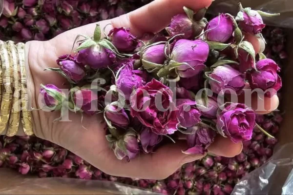 The best quality Rosa damascena buds for sale. Damascena Rose wholesale price. Buy Damascina Rose. Bulk Rosa Damask buds and petals. Wholesale R Damascena. Damask Rose purchase.