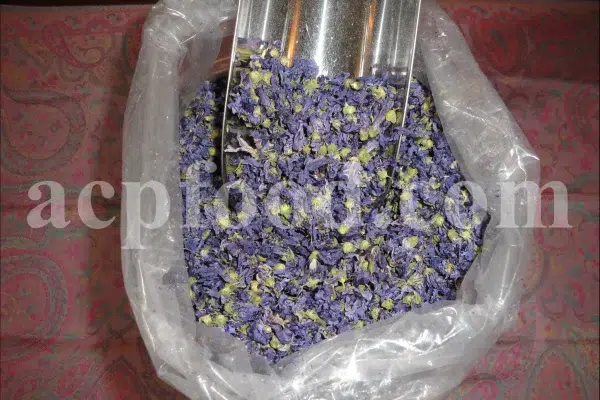 Dried Blue Mallow for sale. Buy dried Blue Mallow flowers. Buy Mallow. Mallow Buy. Bulk Malva sylvestris zebrina flowers. Mallow Malva sylvestris zebrina wholesale price. Mallow sylvestris flowers purchase. Bulk malva seed. Malva sylvestris seed for sale.
