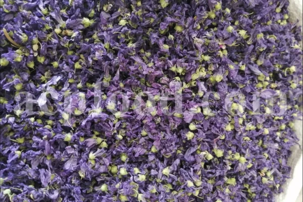 Dried Blue Mallow for sale. Buy dried Blue Mallow flowers. Buy Mallow. Mallow Buy. Bulk Malva sylvestris zebrina flowers. Mallow Malva sylvestris zebrina wholesale price. Mallow sylvestris flowers purchase. Bulk malva seed. Malva sylvestris seed for sale.