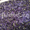 Dried Blue Mallow for sale. Buy dried Blue Mallow flowers. Buy Mallow. Mallow Buy. Bulk Malva sylvestris zebrina flowers. Mallow Malva sylvestris zebrina wholesale price. Mallow sylvestris flowers purchase. Bulk malva seed. Malva sylvestris seed for sale.