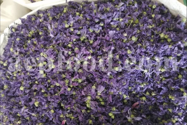 Dried Blue Mallow for sale. Buy dried Blue Mallow flowers. Buy Mallow. Mallow Buy. Bulk Malva sylvestris zebrina flowers. Mallow Malva sylvestris zebrina wholesale price. Mallow sylvestris flowers purchase. Bulk malva seed. Malva sylvestris seed for sale.