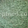 Buy dried Marjoram. Marjoram for sale. Bulk Marjoram. Marjoram seeds for sale. Dried leaves of wild Marjoram in bulk. Bulk Origanum majorana. Buy Marjoram Origanum majorana.