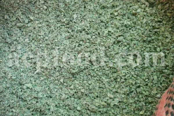 Buy dried Marjoram. Marjoram for sale. Bulk Marjoram. Marjoram seeds for sale. Dried leaves of wild Marjoram in bulk. Bulk Origanum majorana. Buy Marjoram Origanum majorana.