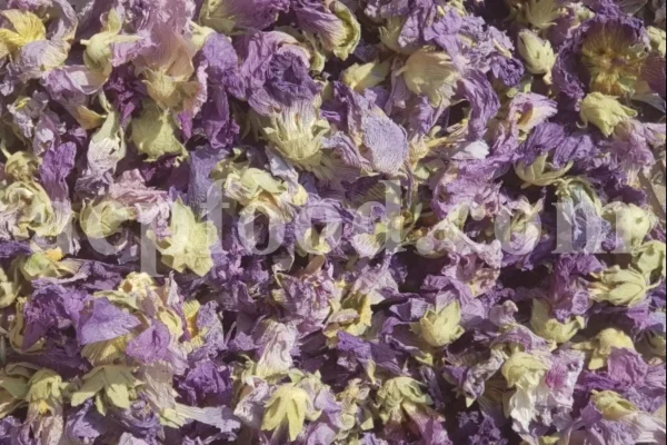 High quality dried Marshmallow flowers for sale. Buy Althaea officinalis dried flowers. Hollyhocks for sale. Buy Common Hollyhock dried flowers. Marshmallow seeds for sale. Buy Hollyhocks seeds.