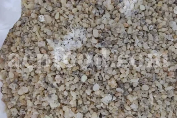 Shirazi Mastic Tree Gum wholesale. Terebinth Resin For Sale. Buy Mastic resin.