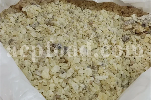 Shirazi Mastic Tree Gum wholesale. Terebinth Resin For Sale. Buy Mastic resin.