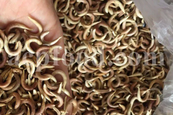 High Quality Yellow Sweet Clover dried fruits for sale. Buy dried Sweet Clover. Bulk Melilotus officinalis. Common Melilot dried fruits purchase.