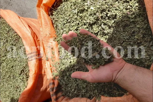 Dried Lemon Balm for sale. Melissa Lemon Balm buy. Lemon Balm bulk. Lemon Balm for sale. Organic Lemon Balm leaf in bulk.