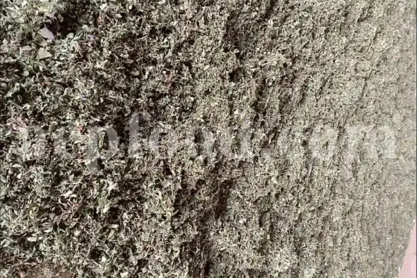 Dried Lemon Balm for sale. Melissa Lemon Balm buy. Lemon Balm bulk. Lemon Balm for sale. Organic Lemon Balm leaf in bulk.