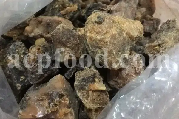 White Fasoukh for sale. Buy ferula communis plant resin. Giant fennel plant gum wholesale price.