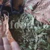 Dried Myrtle leaves for sale. Myrtle leaves purchase. Leaf Myrtle buy. Bulk Mirto leaves. Myrtle leaf tea wholesale price.