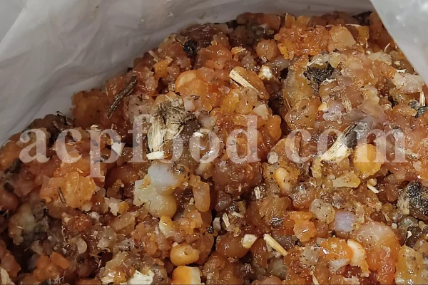 Sweet myrrh resin crystals in natural light