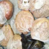 Buy Asafetida Hing. Ferula assa gum for sale. Hing wholesale price. Best quality Asafoetida. Kokh Asafetida for sale.