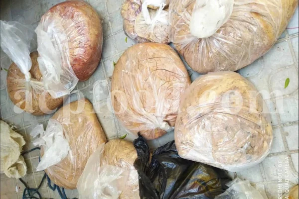 Buy Asafetida Hing. Ferula assa gum for sale. Hing wholesale price. Best quality Asafoetida. Kokh Asafetida for sale.