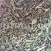 High-quality dehydrated Moosir bulbs from Iran