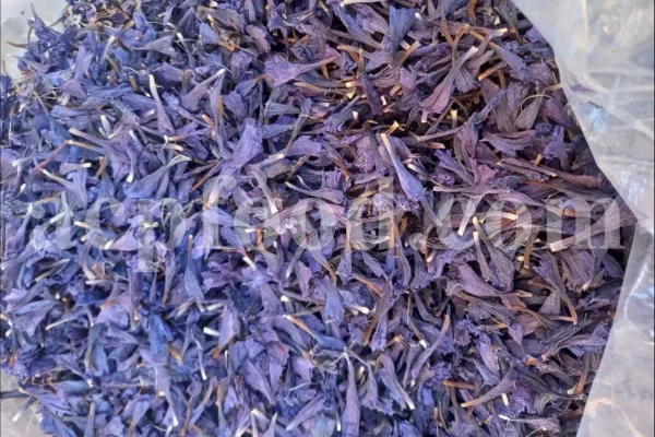 Bulk Echium amoenum for Sale. Buy Persian Borage. Buy Iranian Bugloss with the Best Price. Gol Gav Zaban wholesale price. Bulk Echium amoenum Red Feathers. Borage leaves for sale.