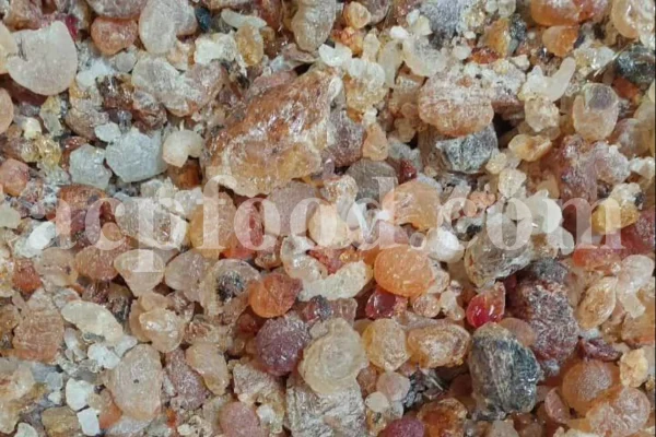 High Quality Bulk Persian Gum for sale. Gum Zedo wholesale price. Buy Zedo Gum. Cerasus avium gum for sale. Bulk Cerasus vulgaris gum. Cerasus mahleb gum wholesale price.