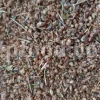 Buy Manna of Hedysarum. Taranjabin for sale. Alhagi pseudalhagi Manna wholesale price. Bulk Alhagi maurorum Manna. Persian Manna purchase.