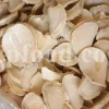 Allium stipitatum bulbs in bulk packaging