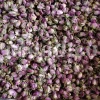 The best quality Rosa damascena buds for sale. Damascena Rose wholesale price. Buy Damascina Rose. Bulk Rosa Damask buds and petals. Wholesale R Damascena. Damask Rose purchase.