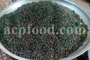 High Quality Pistacia atlantica for sale. Pistacia terebinthus seeds. Pistacia atlantica seeds. Buy Atlantic Pistachio. Pistacia khinjuk wholesale price. Buy Terebinth seeds. Bulk wild pistachios.
