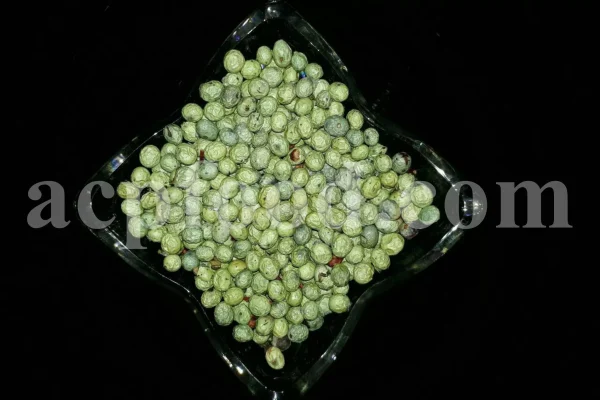 High Quality Pistacia atlantica for sale. Pistacia terebinthus seeds. Pistacia atlantica seeds. Buy Atlantic Pistachio. Pistacia khinjuk wholesale price. Buy Terebinth seeds. Bulk wild pistachios.