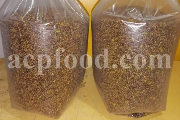 High Quality Pistacia atlantica for sale. Pistacia terebinthus seeds. Pistacia atlantica seeds. Buy Atlantic Pistachio. Pistacia khinjuk wholesale price. Buy Terebinth seeds. Bulk wild pistachios.