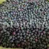 High Quality Pistacia atlantica for sale. Pistacia terebinthus seeds. Pistacia atlantica seeds. Buy Atlantic Pistachio. Pistacia khinjuk wholesale price. Buy Terebinth seeds. Bulk wild pistachios.