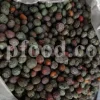 High Quality Pistacia atlantica for sale. Pistacia terebinthus seeds. Pistacia atlantica seeds. Buy Atlantic Pistachio. Pistacia khinjuk wholesale price. Buy Terebinth seeds. Bulk wild pistachios.