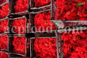 Dried Pomegranate flowers for sale. Buy Pomegranate seeds. Dried Pomegranate skin wholesale price. Gule Anar purchase.