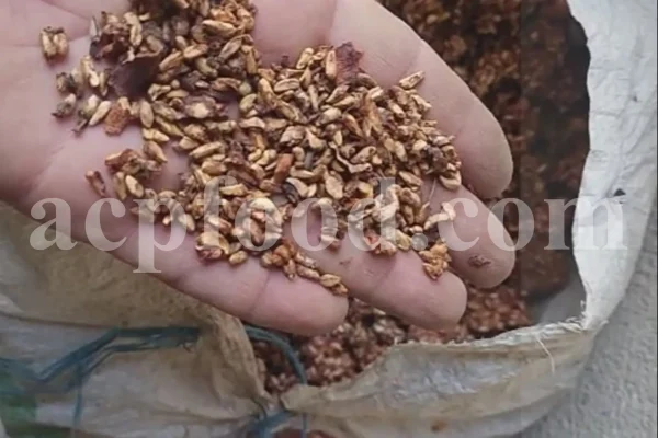 Dried Pomegranate flowers for sale. Buy Pomegranate seeds. Dried Pomegranate skin wholesale price. Gule Anar purchase.