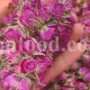 The best quality Rosa damascena buds for sale. Damascena Rose wholesale price. Buy Damascina Rose. Bulk Rosa Damask buds and petals. Wholesale R Damascena. Damask Rose purchase.