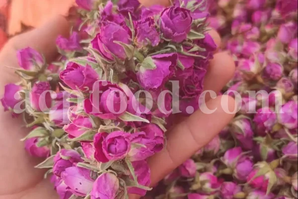 The best quality Rosa damascena buds for sale. Damascena Rose wholesale price. Buy Damascina Rose. Bulk Rosa Damask buds and petals. Wholesale R Damascena. Damask Rose purchase.