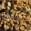 Buy Asafetida Hing. Ferula assa gum for sale. Hing wholesale price. Best quality Asafoetida. Kokh Asafetida for sale.