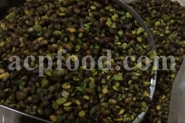 High Quality Pistacia atlantica for sale. Pistacia terebinthus seeds. Pistacia atlantica seeds. Buy Atlantic Pistachio. Pistacia khinjuk wholesale price. Buy Terebinth seeds. Bulk wild pistachios.