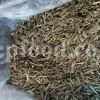 Lovage seeds for sale. Bulk levisticum officinale seeds. Buy lovage seeds. Lovage seeds near me. Bulk maggi plant seeds.