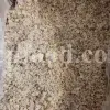 Shirazi Mastic Tree Gum wholesale. Terebinth Resin For Sale. Buy Mastic resin.
