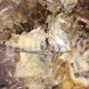 Buy Asafetida Hing. Ferula assa gum for sale. Hing wholesale price. Best quality Asafoetida. Kokh Asafetida for sale.